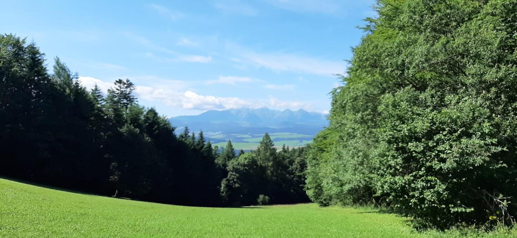 Вилла Szczytowisko Grywald Экстерьер фото